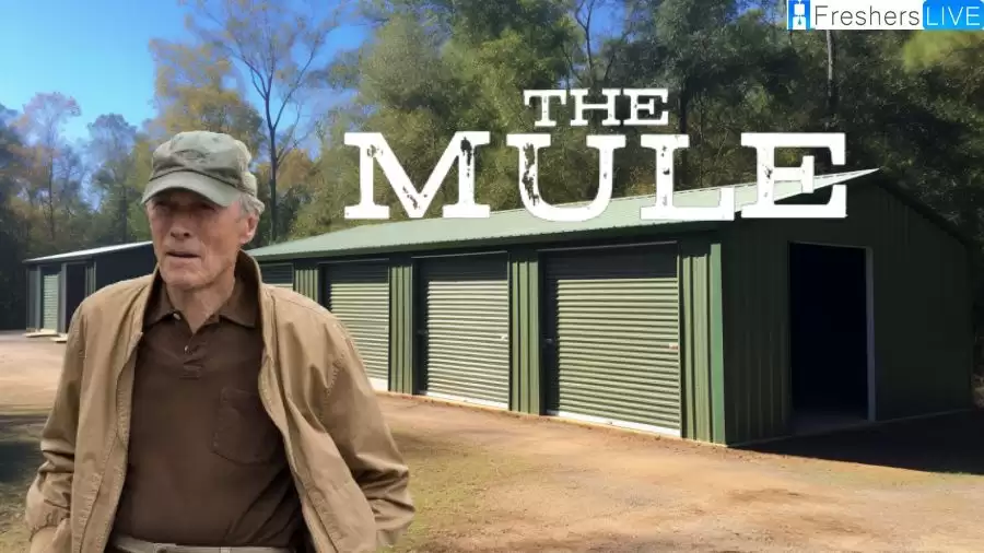 The Mule Ending Explained: Is the Movie Based on a True Story?