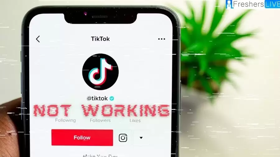 TikTok Not Working: Why is My TikTok Not Working?