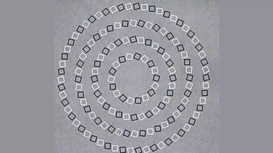 Visual Optical Illusion: Where Do They Cross?