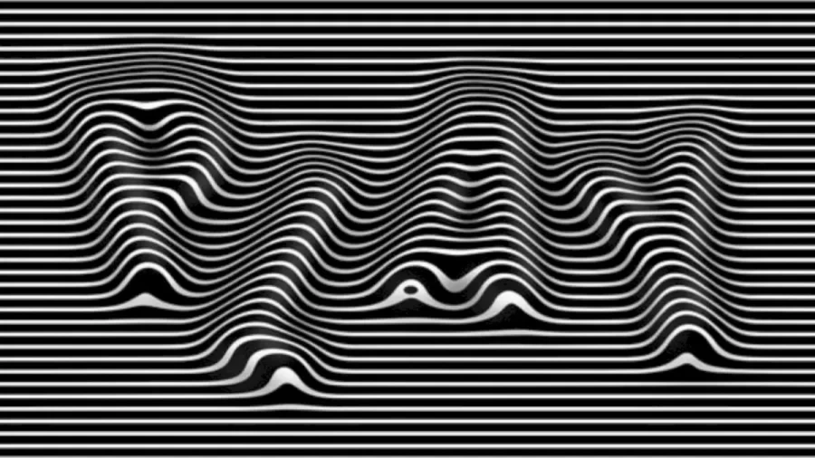 Want To Play An Optical Illusion? Try To Find The Hidden Word In This Optical Illusion