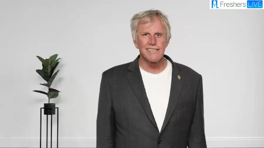 What Happened to Gary Busey? Everything About His Accident