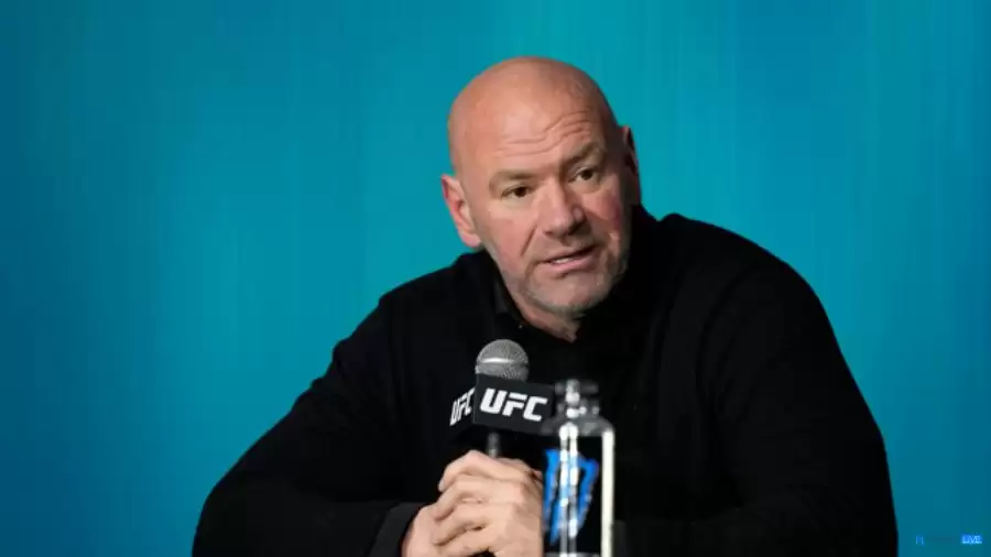 Who is Dana White