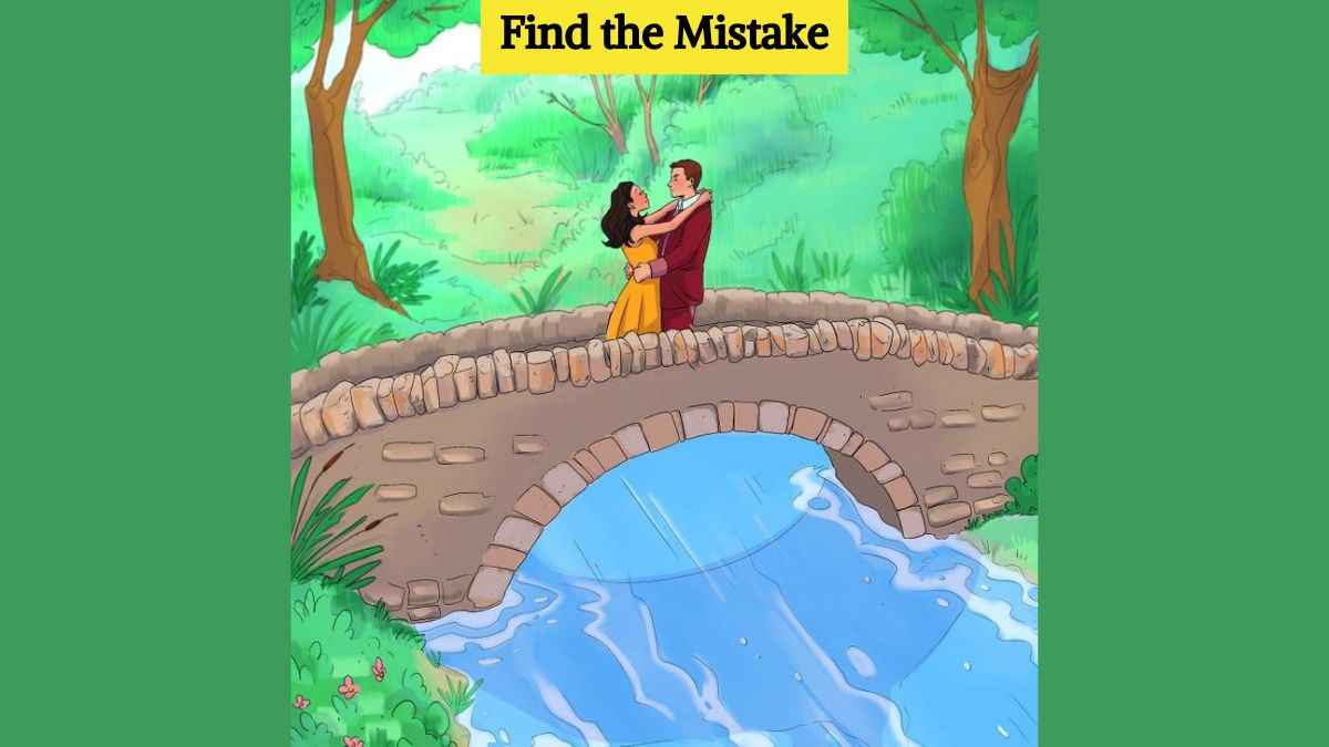 Brain Teaser IQ Test: Find the mistake in the couple picture in 3 seconds!