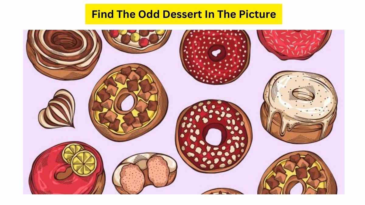 Can You Find The Odd Donut Piece Hidden This Dessert Box Within 3 Seconds? Try Your Luck!