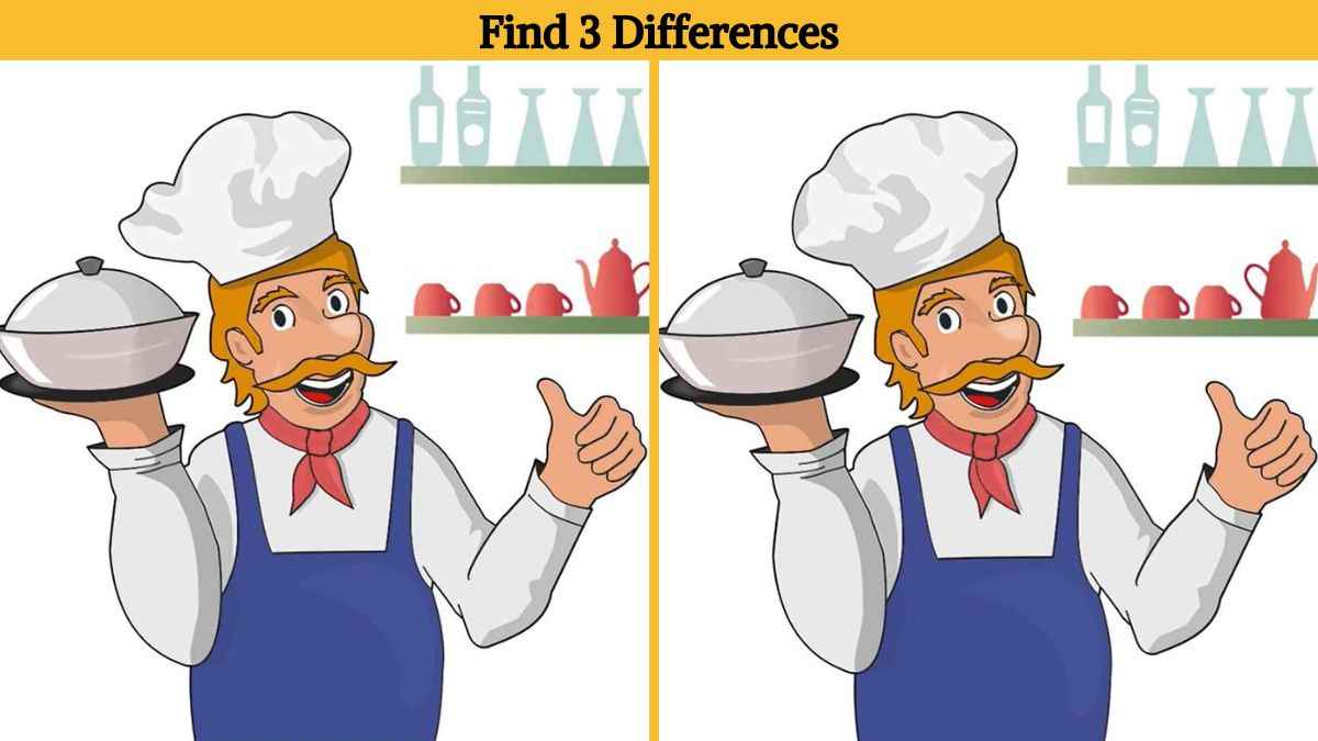 Find 3 differences between the chef pictures in 19 seconds!
