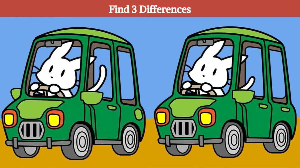 Find 3 differences between the rabbit driving car pictures in 17 seconds!