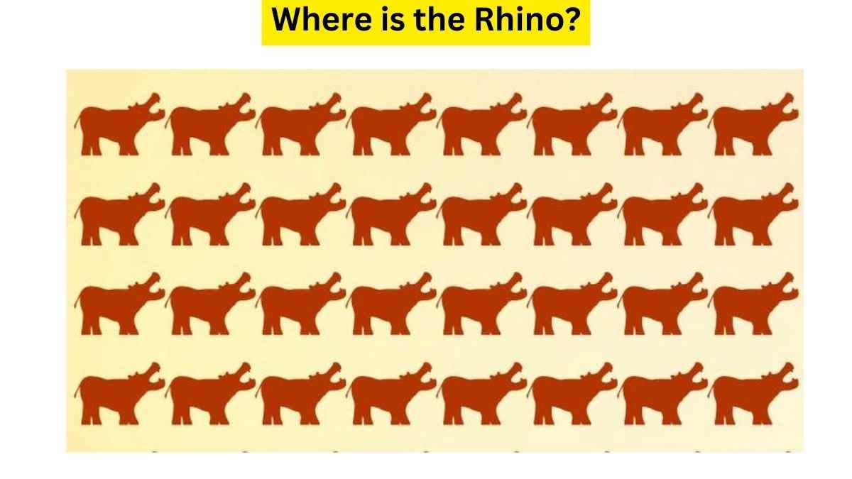 How Fast You Can Find The Rhino Among Hippos Hidden In This Brain Teaser? 11 Seconds Left!