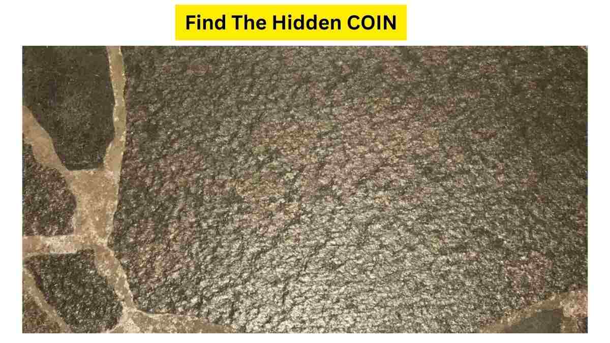 I Lost My Penny. Can You Spot The Lost Coin Hidden On The Floor Within 7 Seconds?