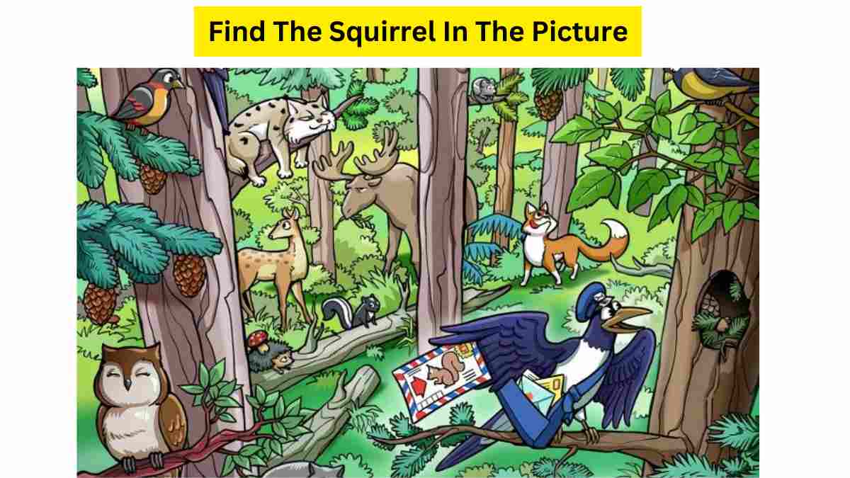 Mailman Is Looking For The Squirrel To Deliver Letter. Can You Find In 7 Seconds?