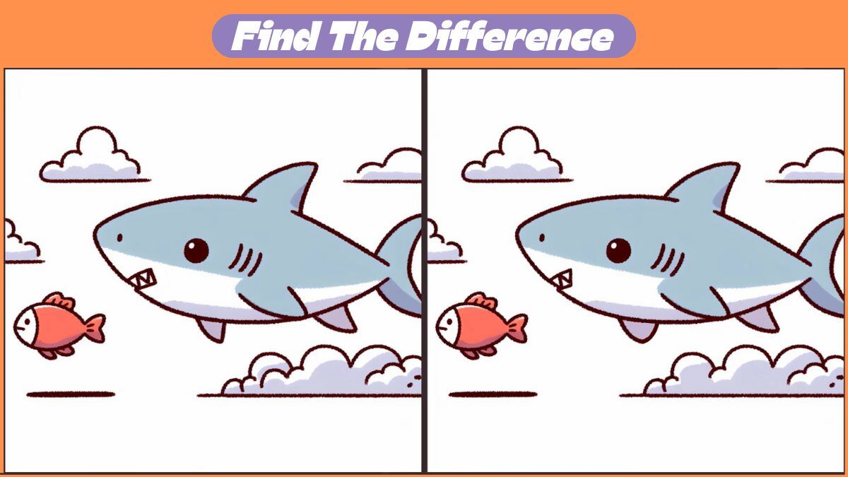 Only 7% Can Find 3 Differences In 34 Seconds In The Flying Shark Scene