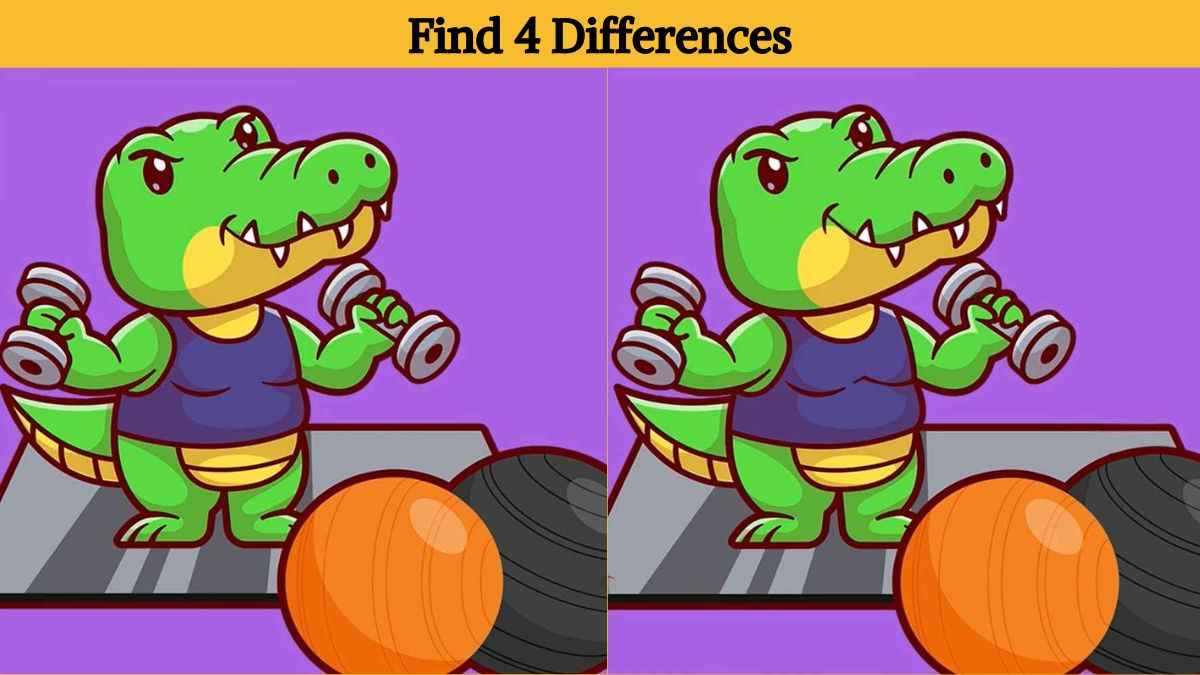 Only a genius can find 4 differences between the crocodile pictures in 11 seconds!