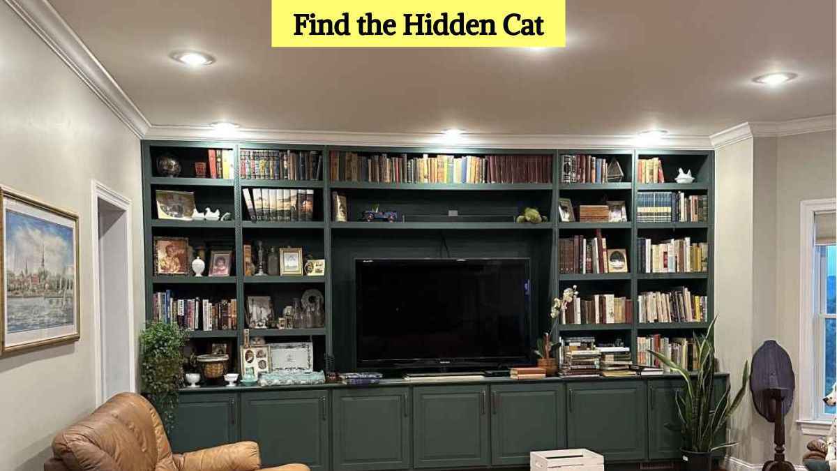 Optical Illusion Eye Test: Find the hidden cat in the living room in 9 seconds!