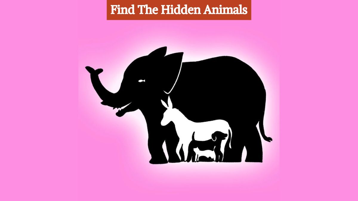 Seek and Find: You have high visual IQ if you can spot 9 animals in this picture in 13 seconds!
