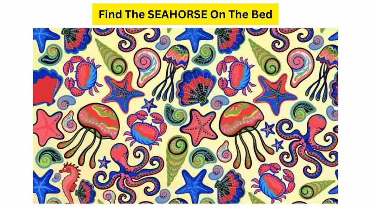 Speed Test: You Are A Genius If You Can Find The SEAHORSE Hidden On The SeaBed Within 9 Seconds. Good Luck!