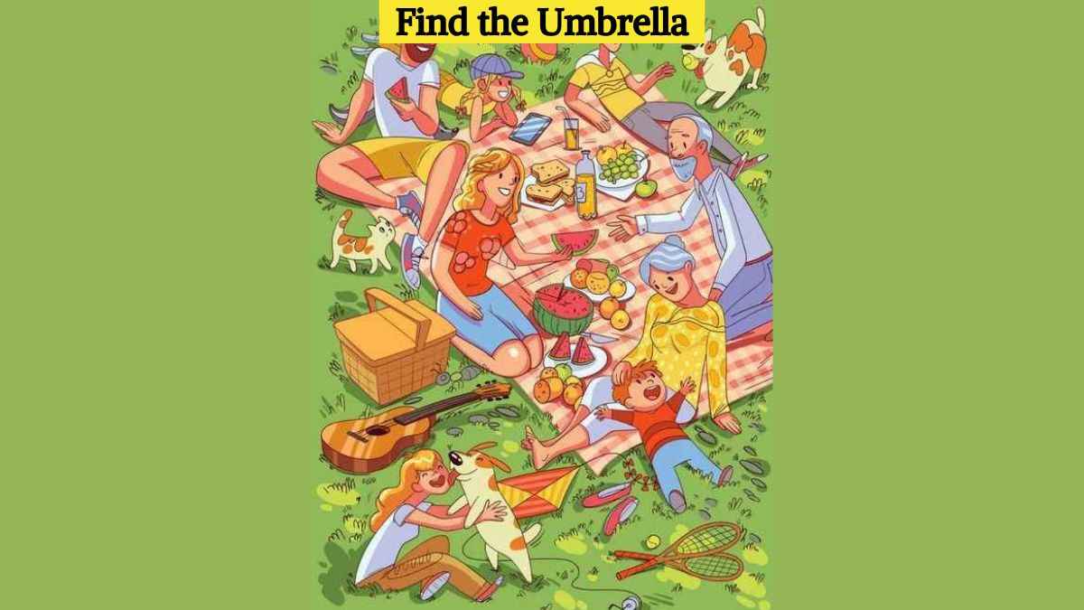 Test your eyes by finding the hidden umbrella in the picnic scene in 5 seconds!