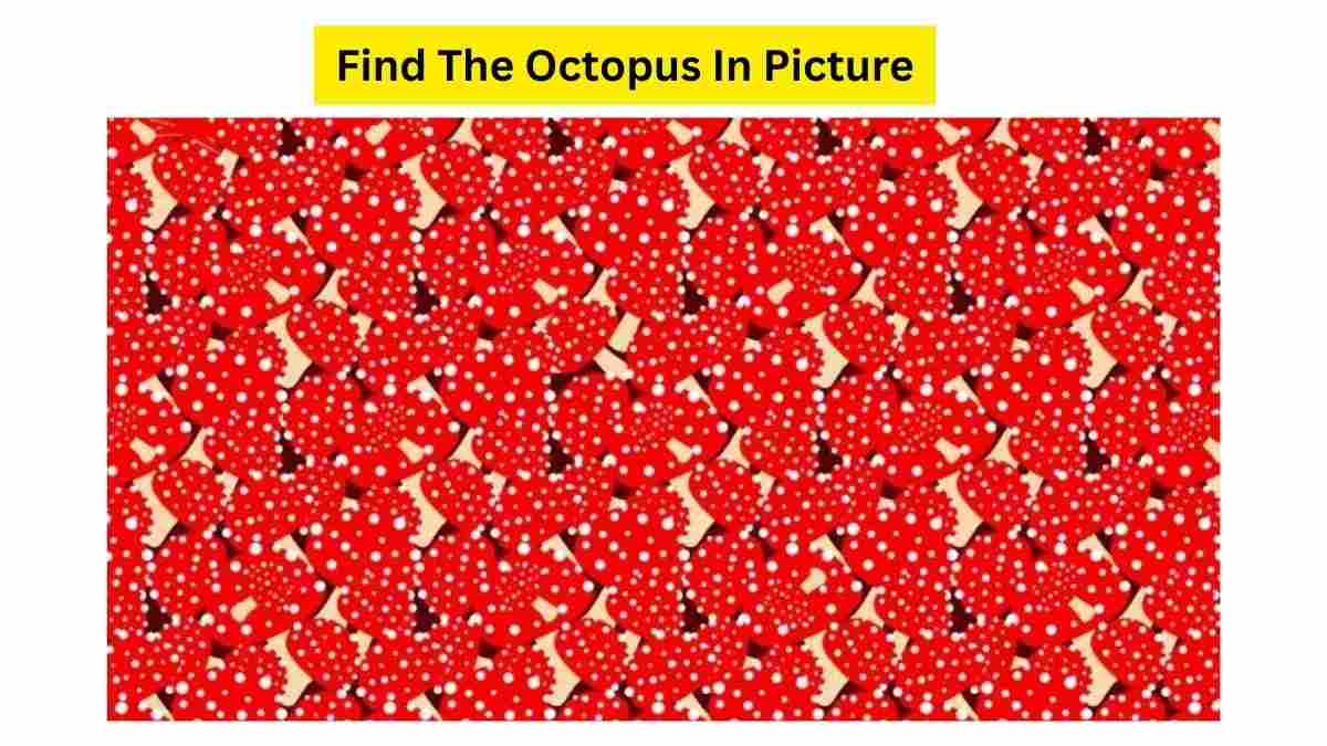 What Is This Octopus Doing In This Red Heart Brain Teaser? 13 Seconds Left!