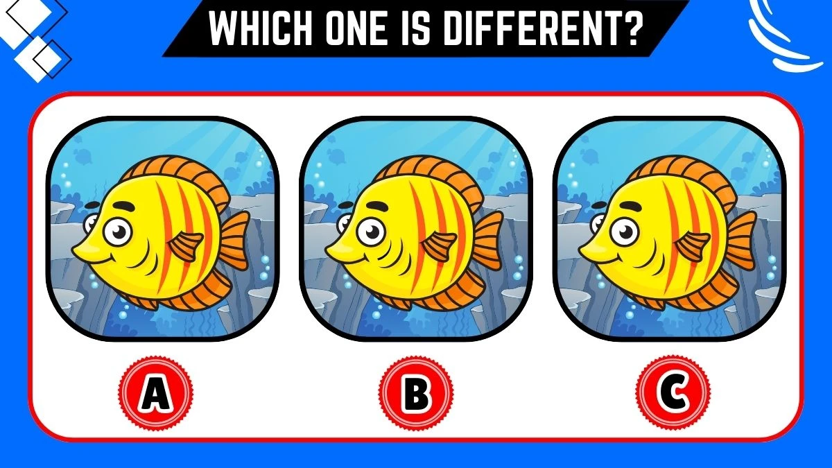 Observation Brain Challenge: Only the most attentive eyes can spot the Different Fish in 8 Secs