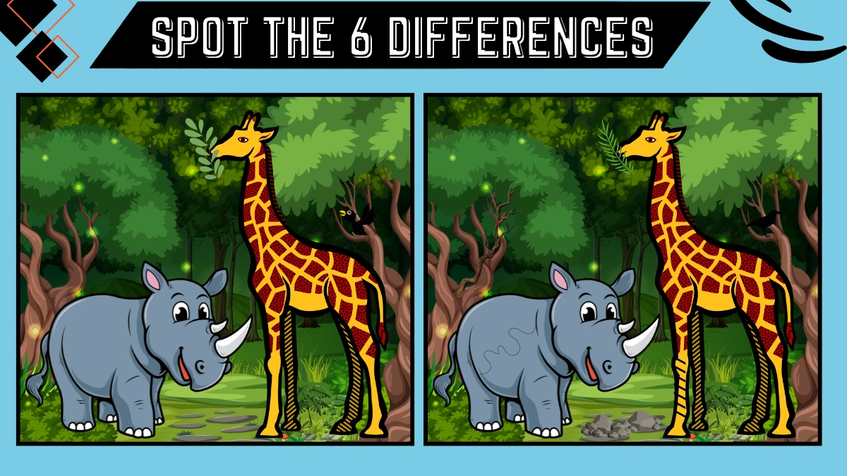 Spot the 6 Difference Picture Puzzle Game: Only People with Extra Sharp Eyes Can Spot the 6 Differences in this Rhino and Giraffe Image in 15 Secs