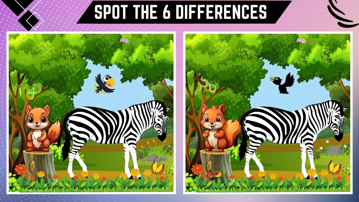 Spot the Difference Game: Only 20/20 Vision Can Spot the 6 Differences in this Zebra and Squirrel Image in 12 Secs