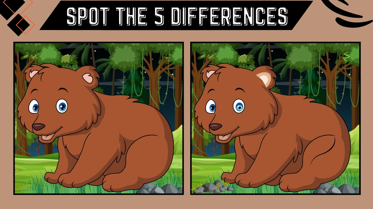 Spot the 5 Difference Picture Puzzle Game: Only Extra Sharp Eyes Can Spot the 5 Differences in this Bear Image in 15 Secs
