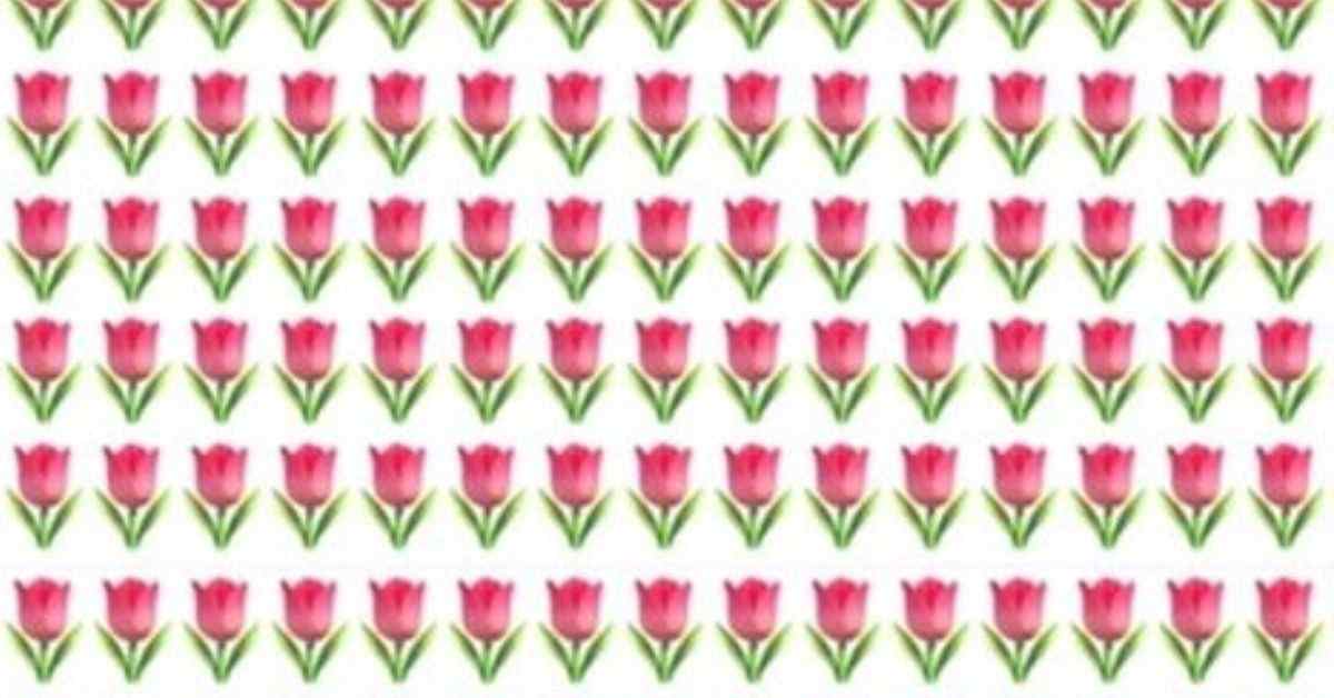 Brain Teaser: Are You a Puzzle Master? Crack This Flower Challenge in 9 Seconds Flat