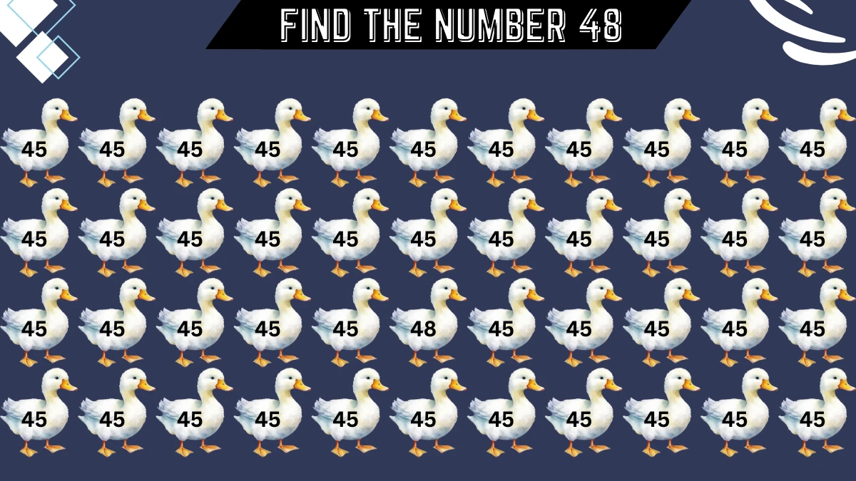 Brain Teaser Eagle Eye Test: Only people with Eagle eyes can find the Number 48 among 45 in 7 Secs