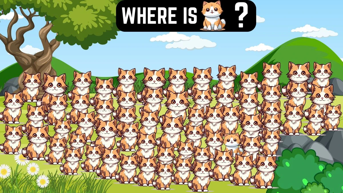 Brain Teaser Find It Out: Only People with 20/20 Vision Can Spot the Odd Cat in 10 Secs