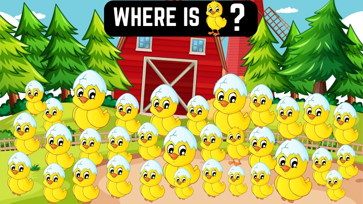 Brain Teaser Find It Out: Only People with 50/50 Vision Can Spot the Odd Chick in 12 Secs