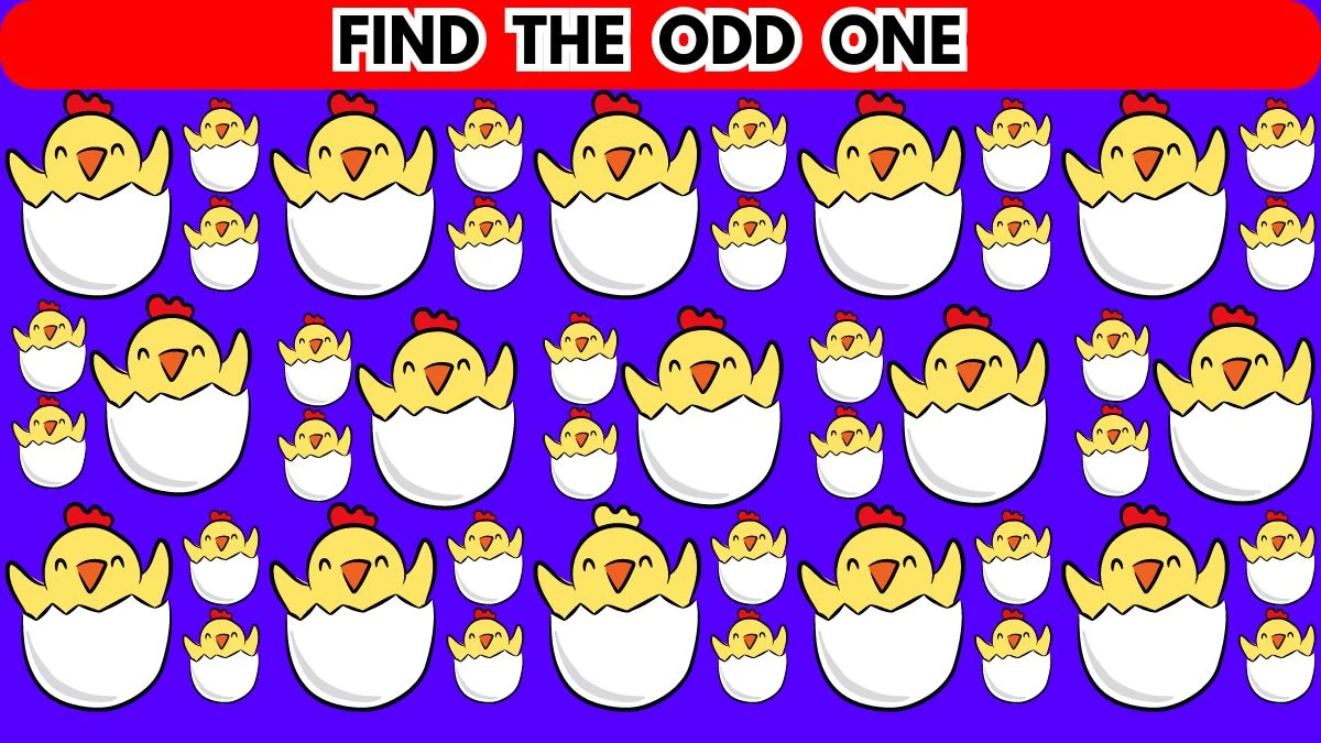 Brain Teaser For Geniuses: 99% of Genius failed to find the Odd Chick in 5 Secs