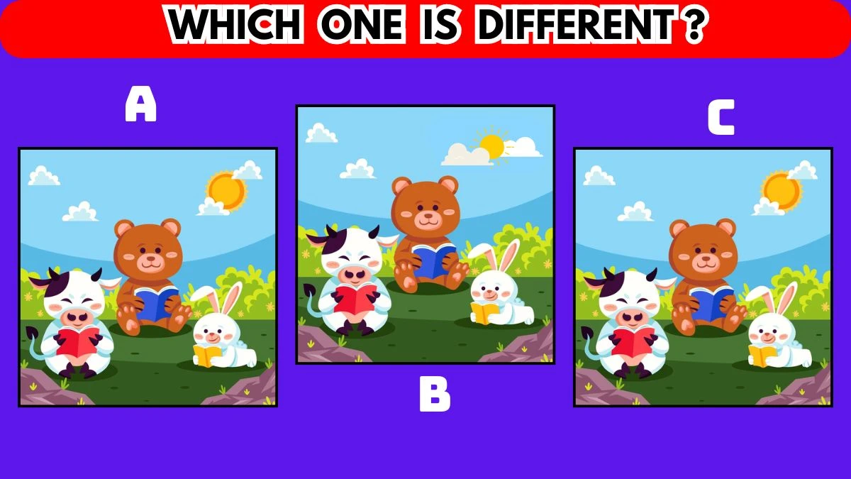 Brain Teaser For Geniuses: If You Have Eagle Eyes Find Which One Is Different