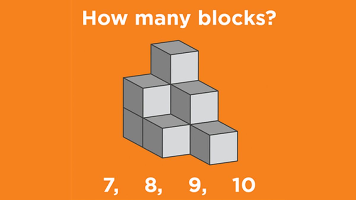 Brain Teaser: How Intelligent Are You? Can You Tell How Many Blocks Are There In 12 Seconds?