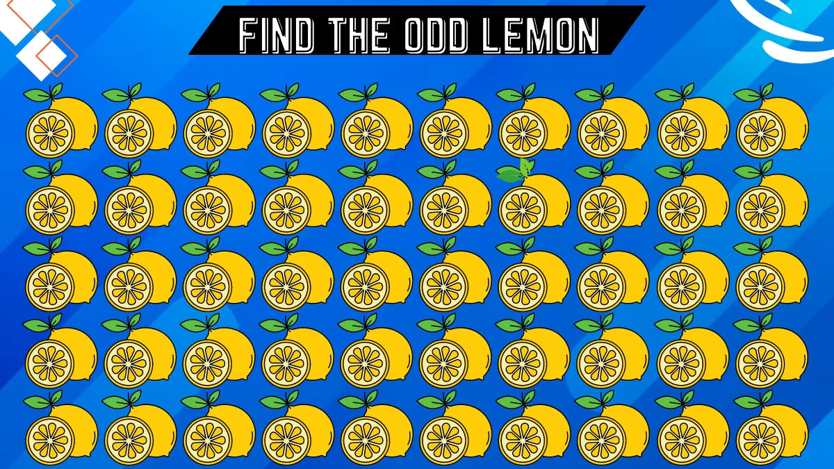 Brain Teaser Speed Test: Only Eagle-eyed People Can Spot the Odd Lemon in this Image in 8 Secs