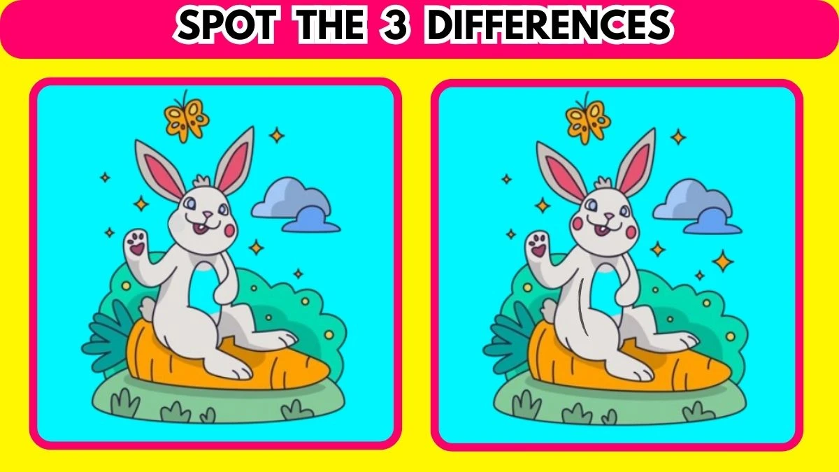 Brain Teaser: Spot 3 Differences in 12 Seconds