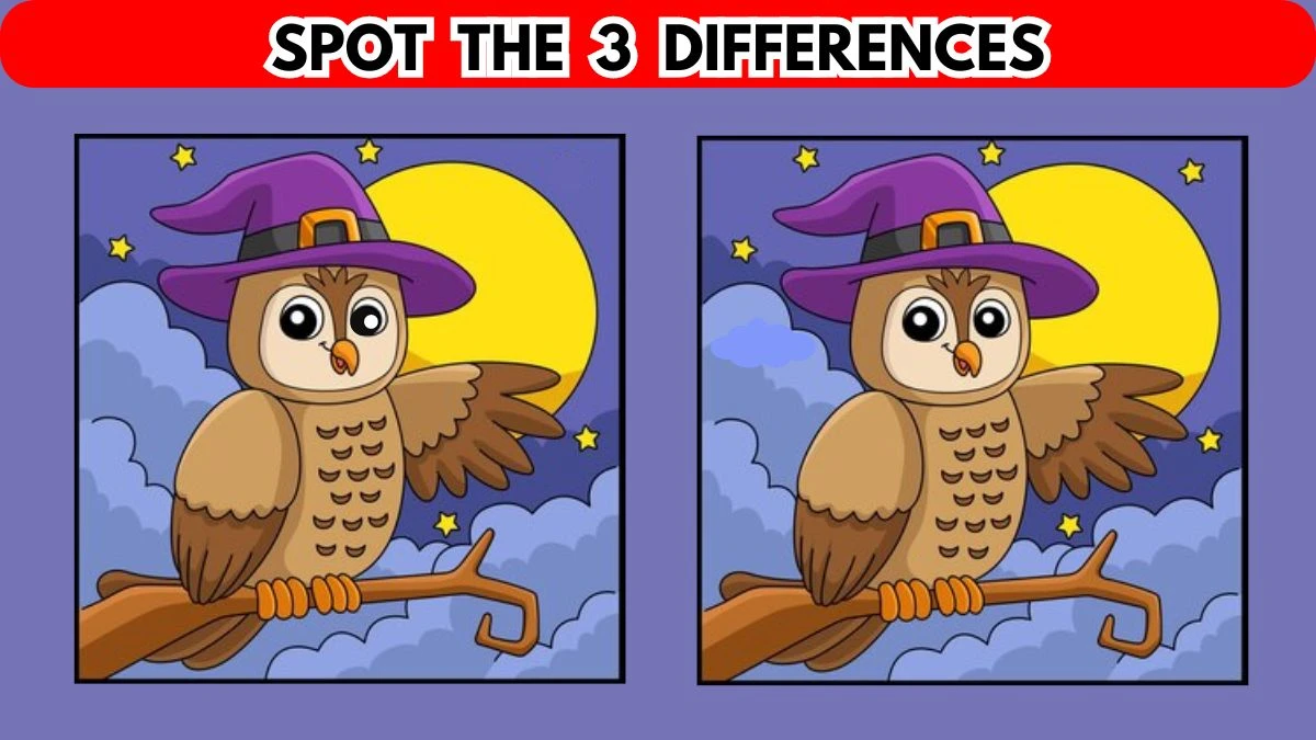Brain Teaser Spot the Difference Game: Only Hawk Eyes Can Spot the 3 Differences in this Owl Image in 10 Secs