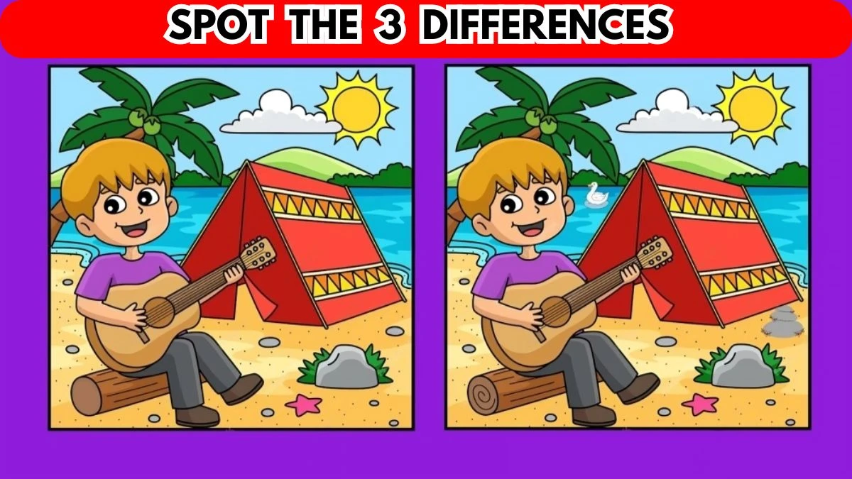 Brain Teaser Spot the Difference Picture Puzzle Game: Only the most attentive pair of eyes can spot the 3 Differences in this Image in 12 Secs 
