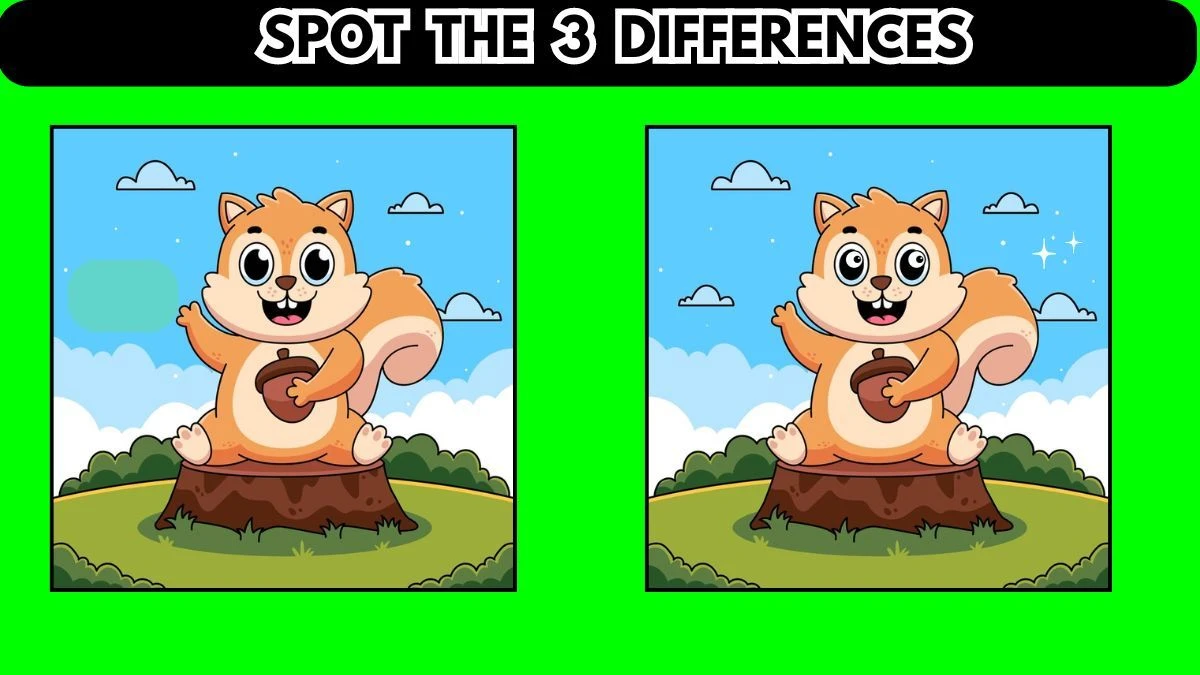 Brain Teaser Spot the Difference Picture Puzzle: Only 20/20 Vision Can Spot the 3 Differences in 12 Secs