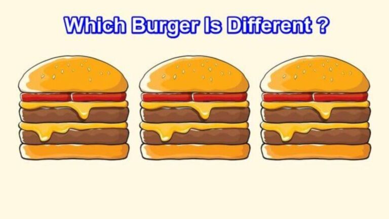 Brain Teaser: Test Your Attention To Detail Skill! Can You Tell Which Burger Is Different In 8 Seconds?