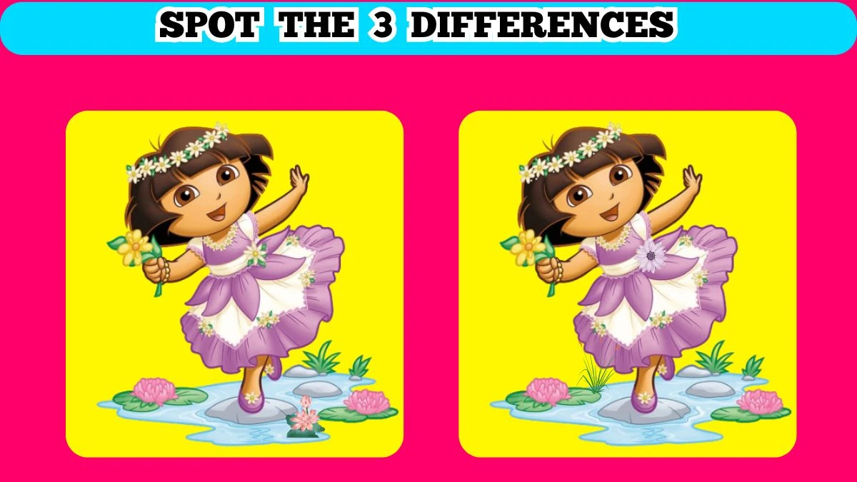 Brain Teaser: Use Your Eagle Eye and Spot 3 differences within 10 Secs
