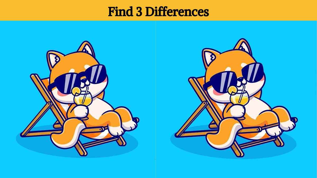 Find 3 differences between the fox on the beach pictures in 18 seconds!