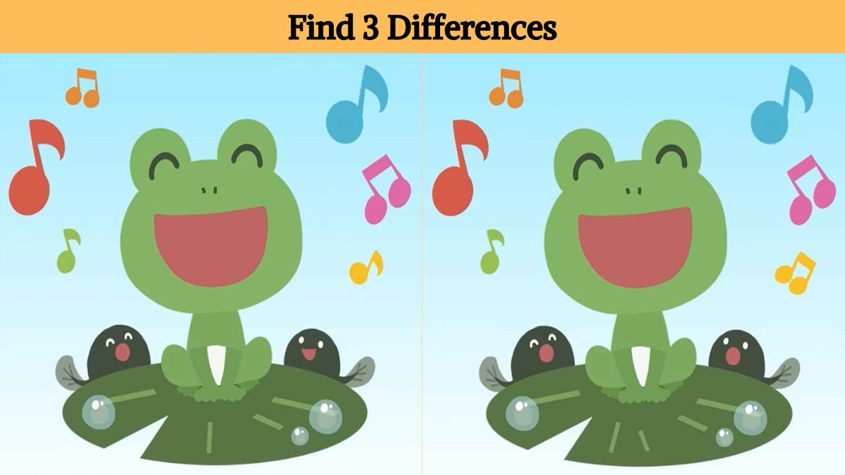 Find 3 differences between the pictures of the frog in 10 seconds!