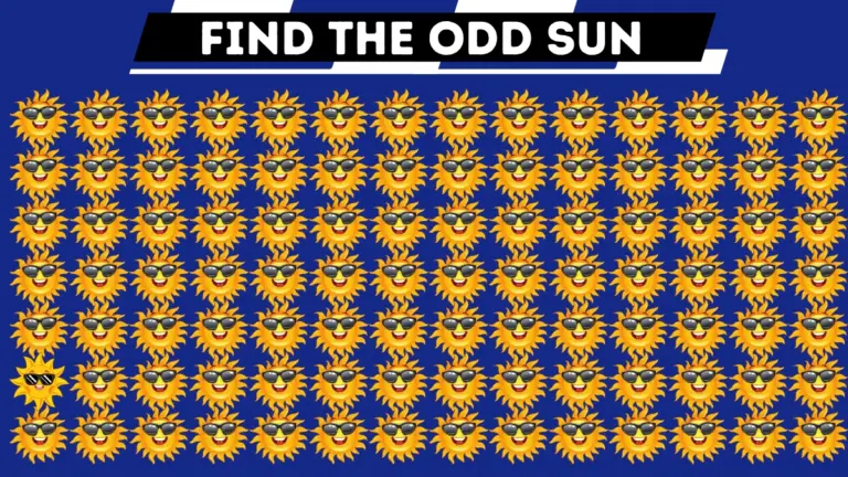 Find and Seek Puzzle: Only X-ray vision Can Spot the Odd Sun in 10 secs