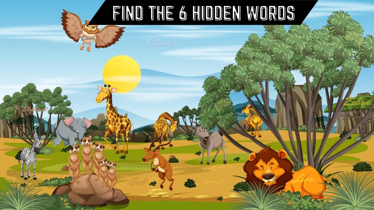 Genius IQ Test: Only Puzzle Champions Can spot the 6 hidden words in this forest image in 10 secs