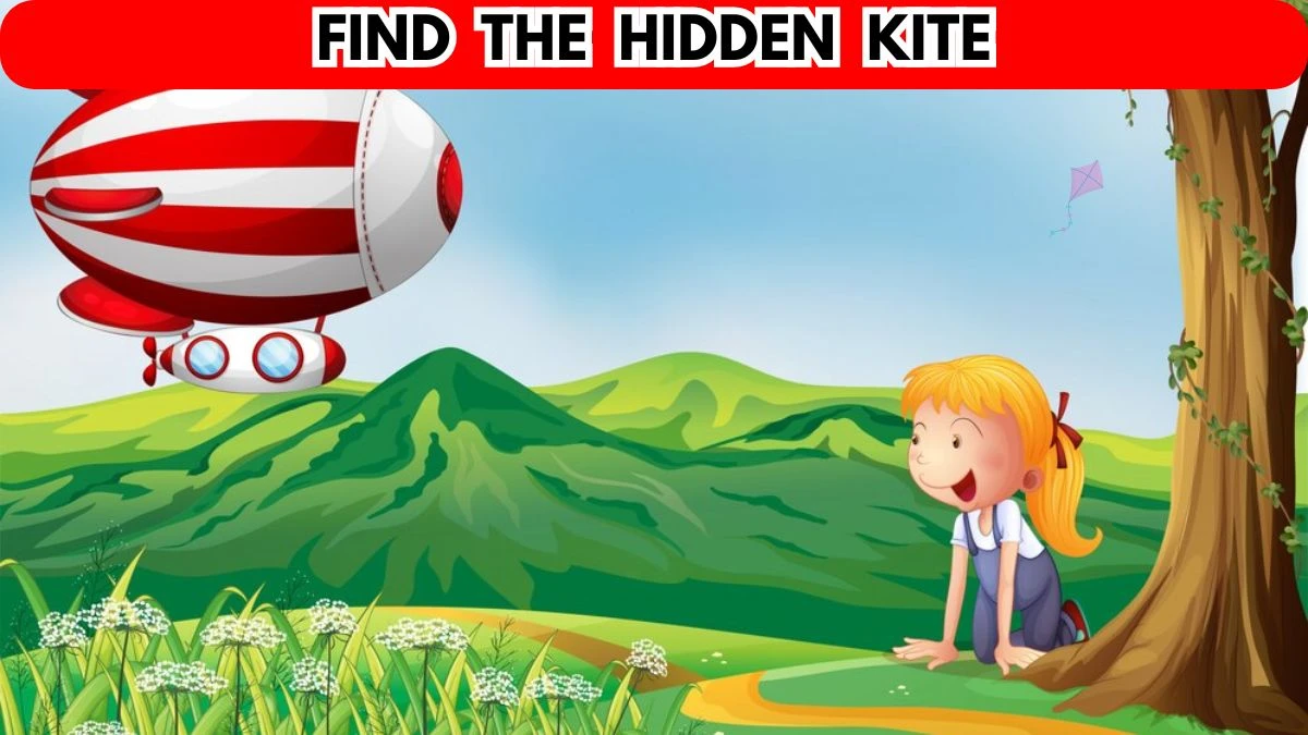 Genius IQ Test:  Try to Find the Hidden Kite in 10 Seconds