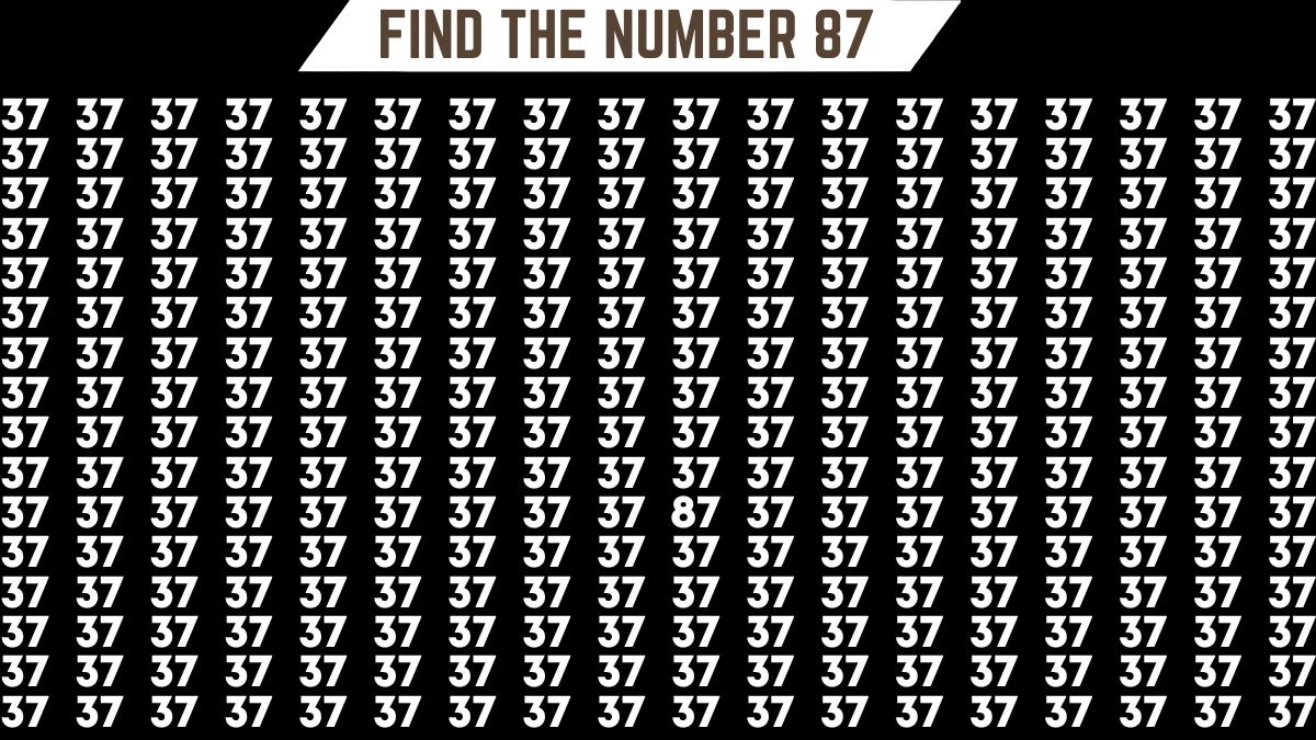 Hide and Seek Puzzle: Only people with 20/20 vision can spot the number 87 among 37 in 8 secs