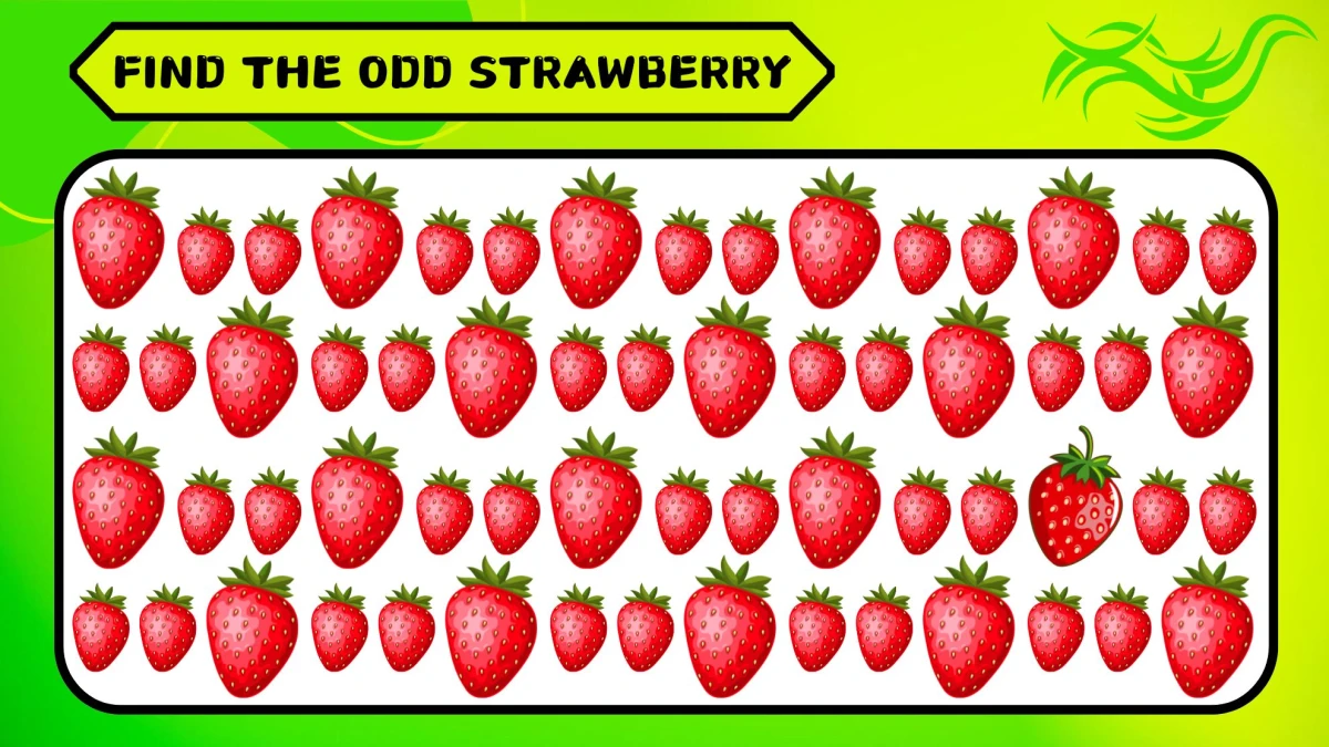 Observation Brain Challenge: 9 out of 10 people fail to spot the Odd Strawberry in 5 Secs