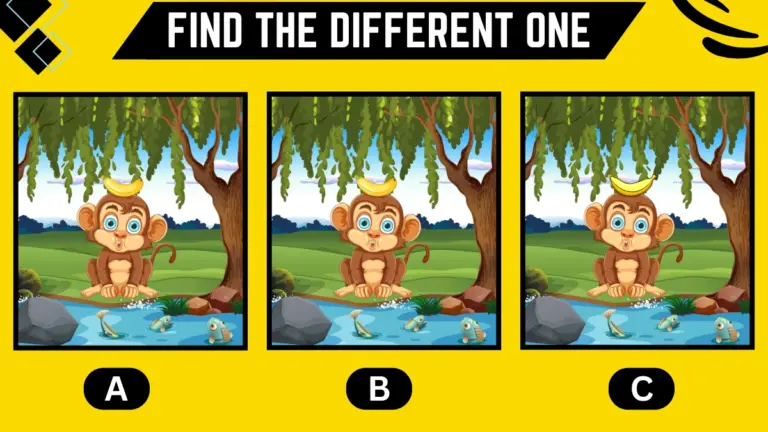 Observation Brain Challenge: Only 2 Out Of 10 Can Find the different one in 6 Secs