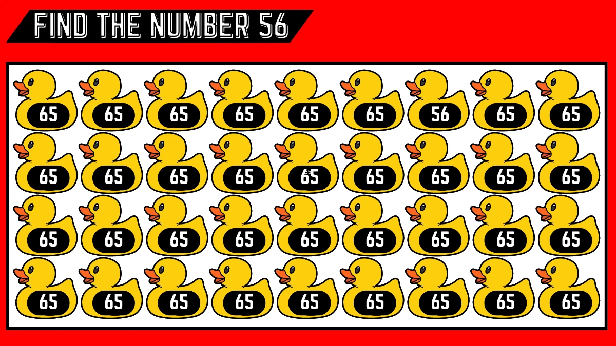Observation Brain Challenge: Only Keen Observers Can Spot the Number 56 among 65 in 6 Secs