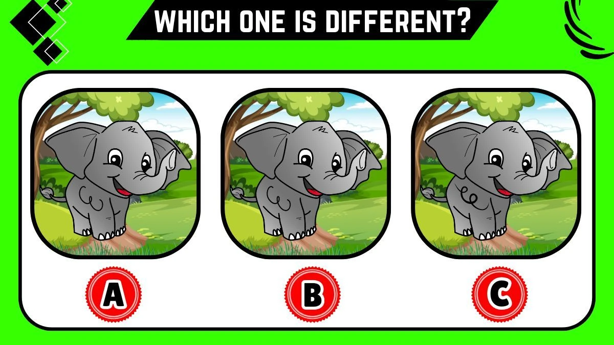 Observation Brain Challenge: Only Sharp Eyes Can Spot the Different Elephant in 10 Secs