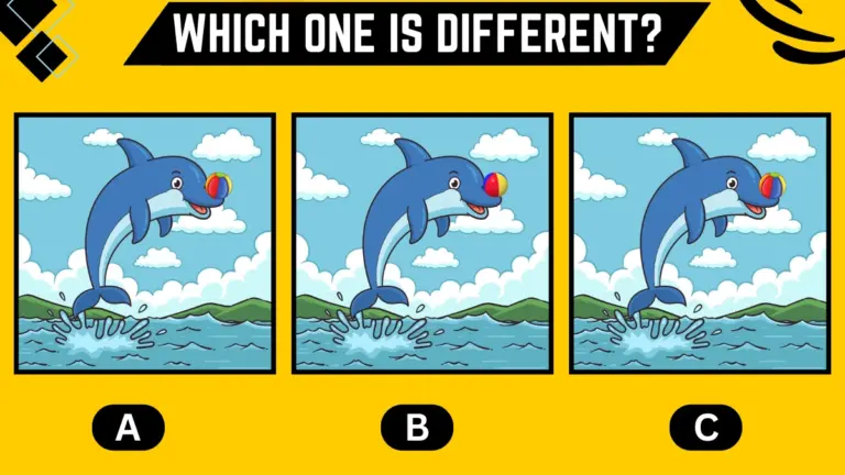 Observation Brain Challenge: Only detective minds can spot the different Dolphin in 8 Secs