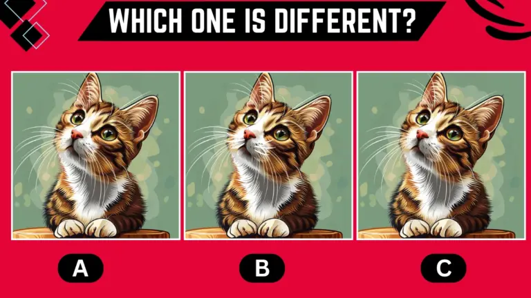 Observation Brain Challenge: Only people with extraordinary vision can spot the different cat within 7 Secs